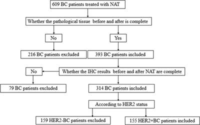 The Therapeutic Effectiveness of Neoadjuvant Trastuzumab Plus Chemotherapy for HER2-Positive Breast Cancer Can Be Predicted by Tumor-Infiltrating Lymphocytes and PD-L1 Expression